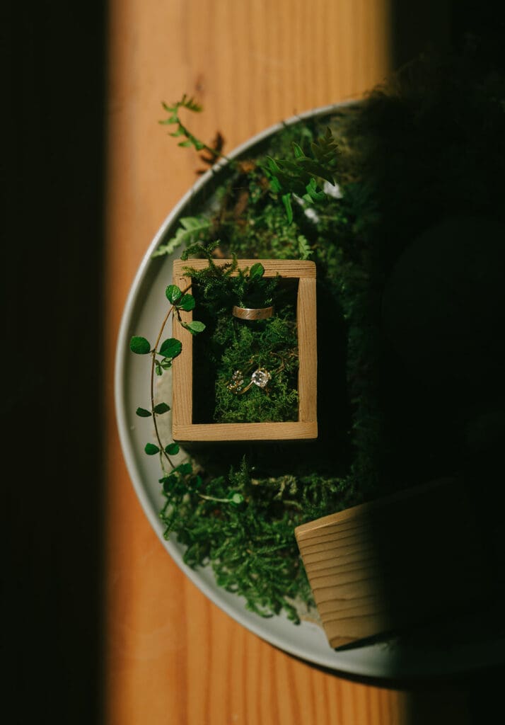 Wedding rings are shown atop a bed of moss in a detail shot taken at an elopement in tofino BC