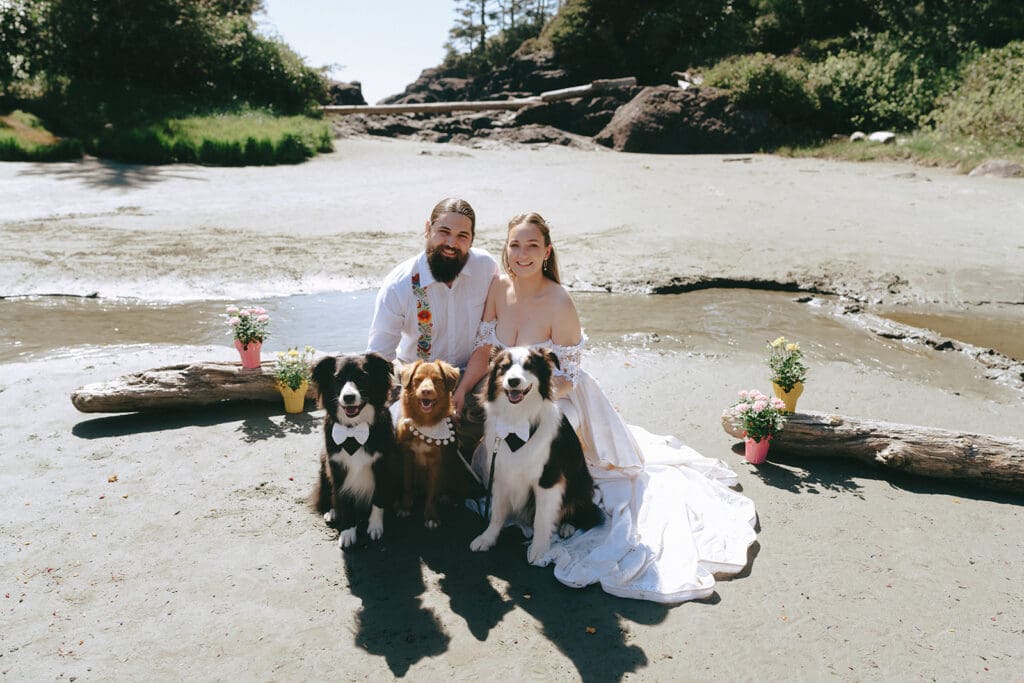 A bridal portrait taken at pacific sands beach resort tofino bc depicts newlyweds seated on the sand with their three dogs following their wedding 