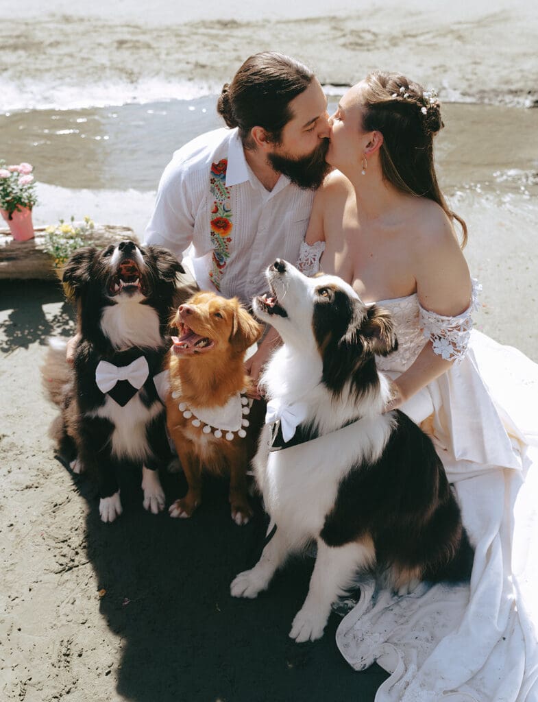 Newlyweds share a kiss as their three dogs sit at their feet on the beach following their wedding at pacific sands beach resort tofino bc
