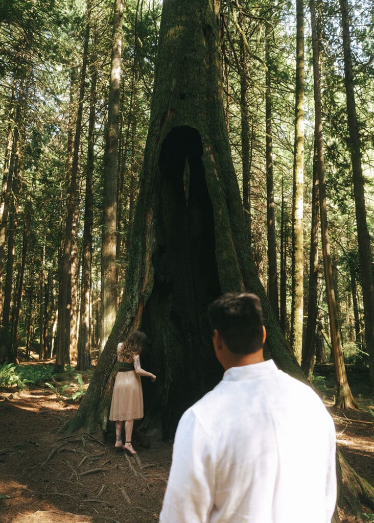 forest engagement photo location on vancouver island, taken by Taylor Dawning Photography