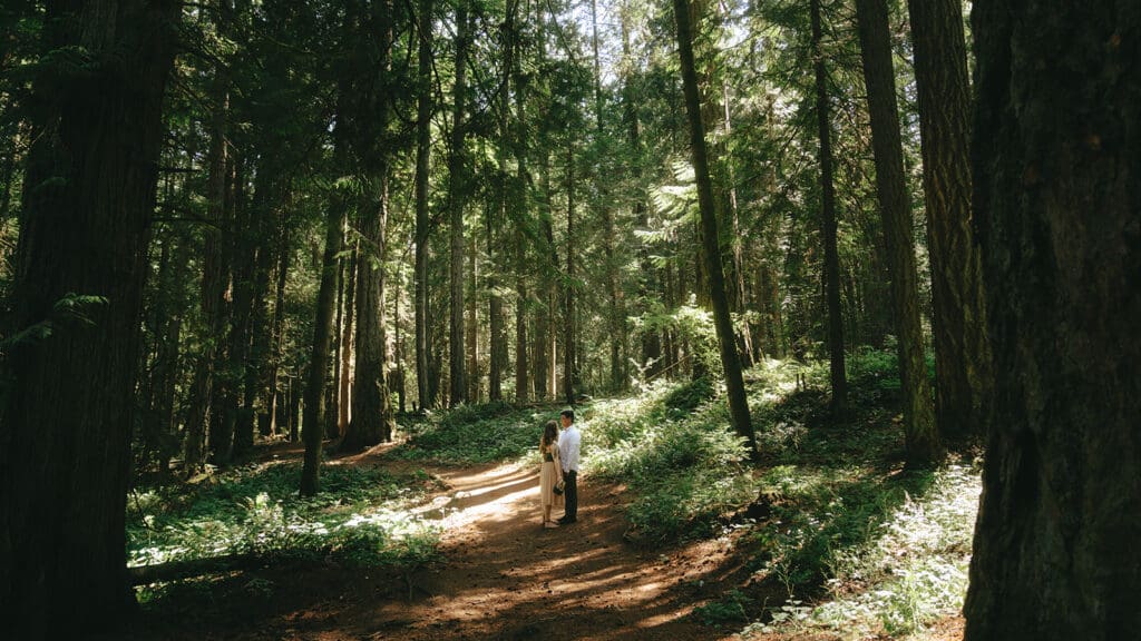 A couple stand beneath the shade of trees during engagement photos vancouver island taken at Francis King Park 