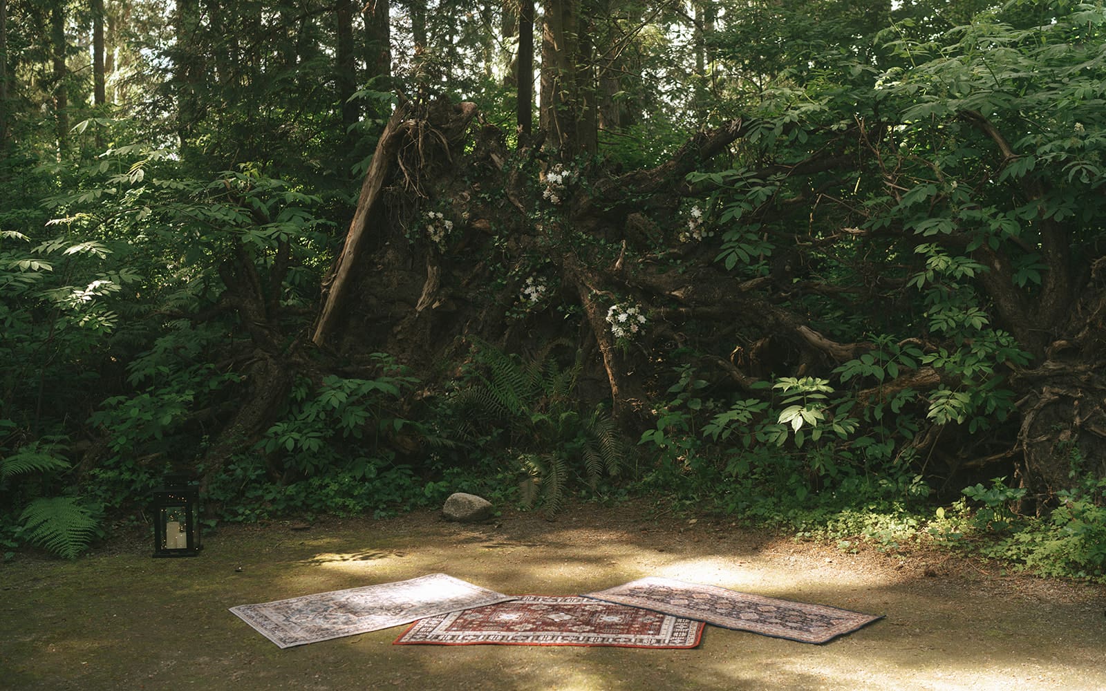Ceremony setup in the forest for intimate wedding