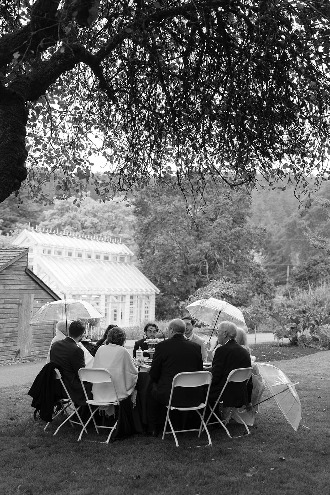 small group of wedding guests sitting at a table under a tree while holding umbrellas