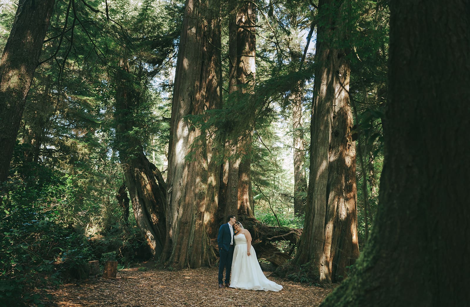 bride leaning head on groom's shoulder in Tofino forest