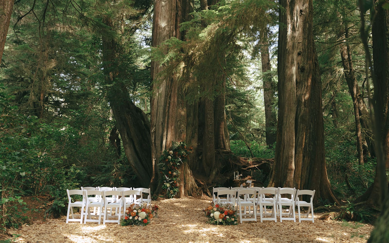Full ceremony setup with chairs and fall themed floral installation in forest cathedral in Tofino